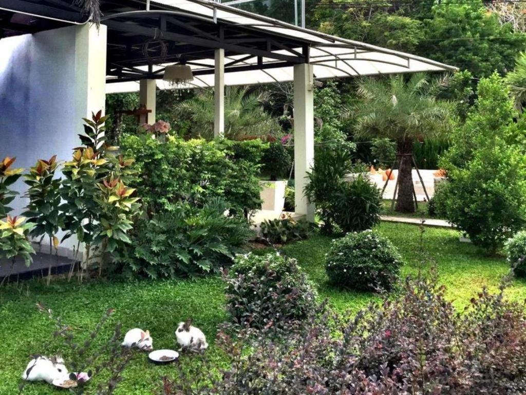 V Valley Resort Satun Esterno foto