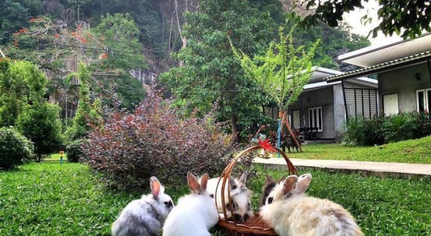 V Valley Resort Satun Esterno foto